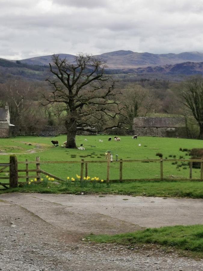 Rainors Farm B&B Gosforth  Exterior foto